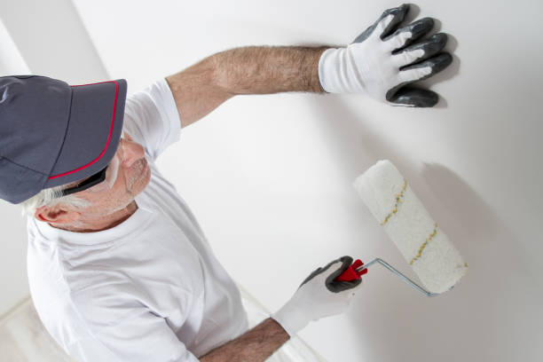 Best Dehumidification Services  in Timberlane, IL