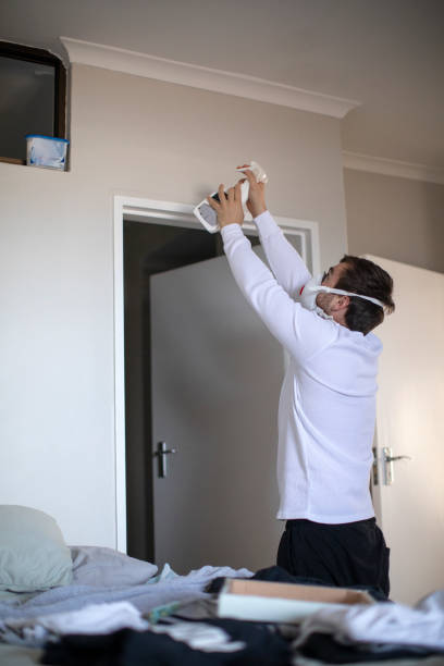 Best Indoor Air Quality Assessment  in Timberlane, IL