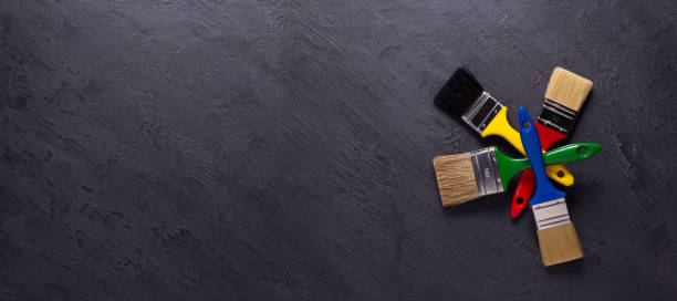 Trusted Timberlane, IL Mold Removal Experts