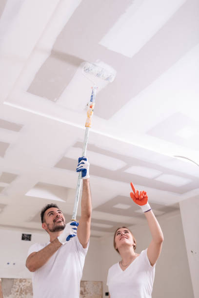 Best Mold Odor Removal Services  in Timberlane, IL
