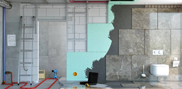 Best Black Mold Removal  in Timberlane, IL