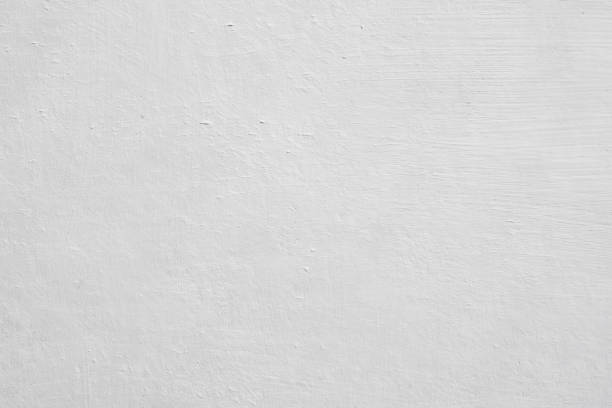 Best Mold Damage Restoration  in Timberlane, IL
