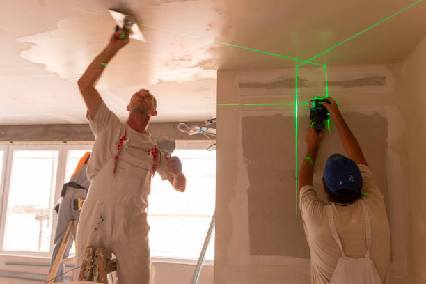 Best Mold Removal for HVAC Installations  in Timberlane, IL