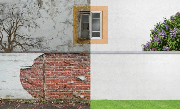 Best Comprehensive Air Testing for Mold Contaminants  in Timberlane, IL