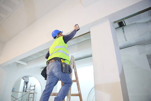 Best Post-Construction Mold Inspection  in Timberlane, IL
