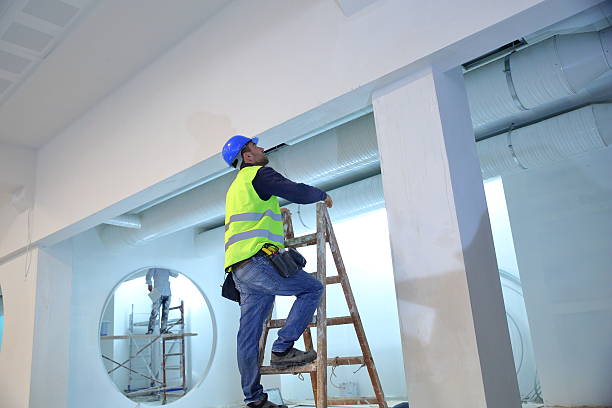 Best Attic Mold Removal  in Timberlane, IL
