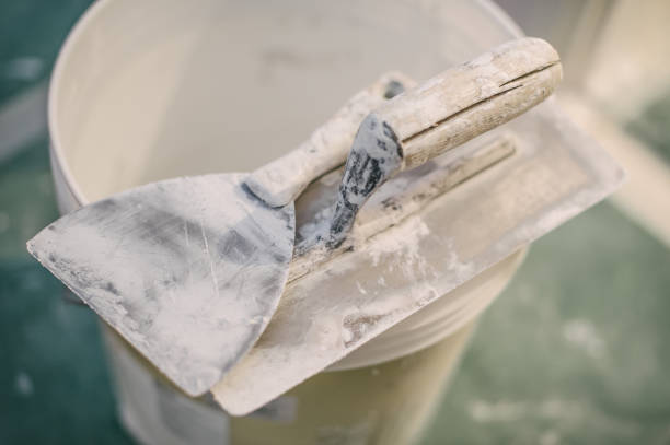 Best Airborne Mold Testing  in Timberlane, IL