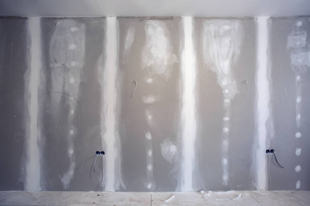 Best Air Quality Testing for Mold Spores  in Timberlane, IL